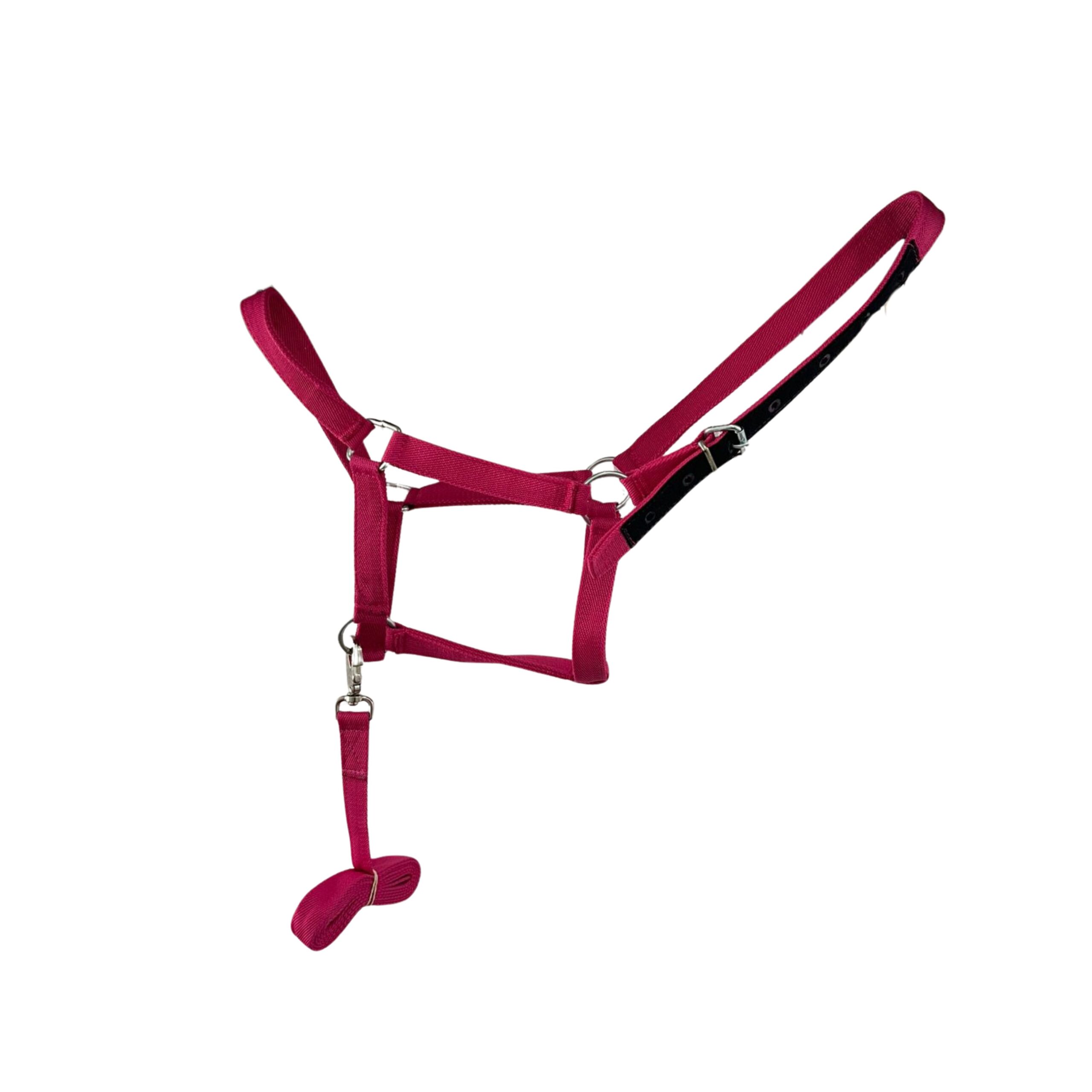 bozal-fucsia-1-scaled-1-2.jpg